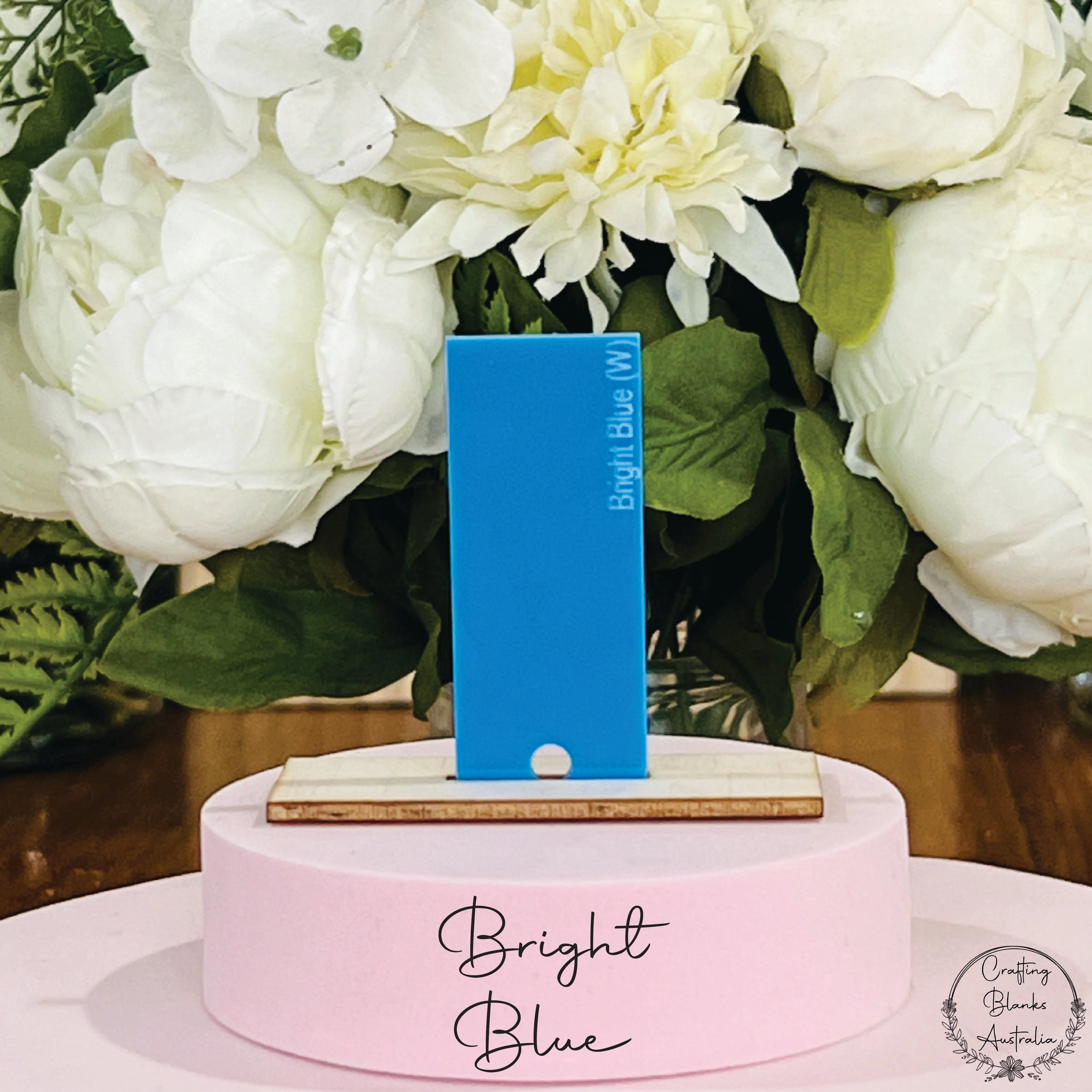 Alphabet Bunny • Blank Tag • 100mm