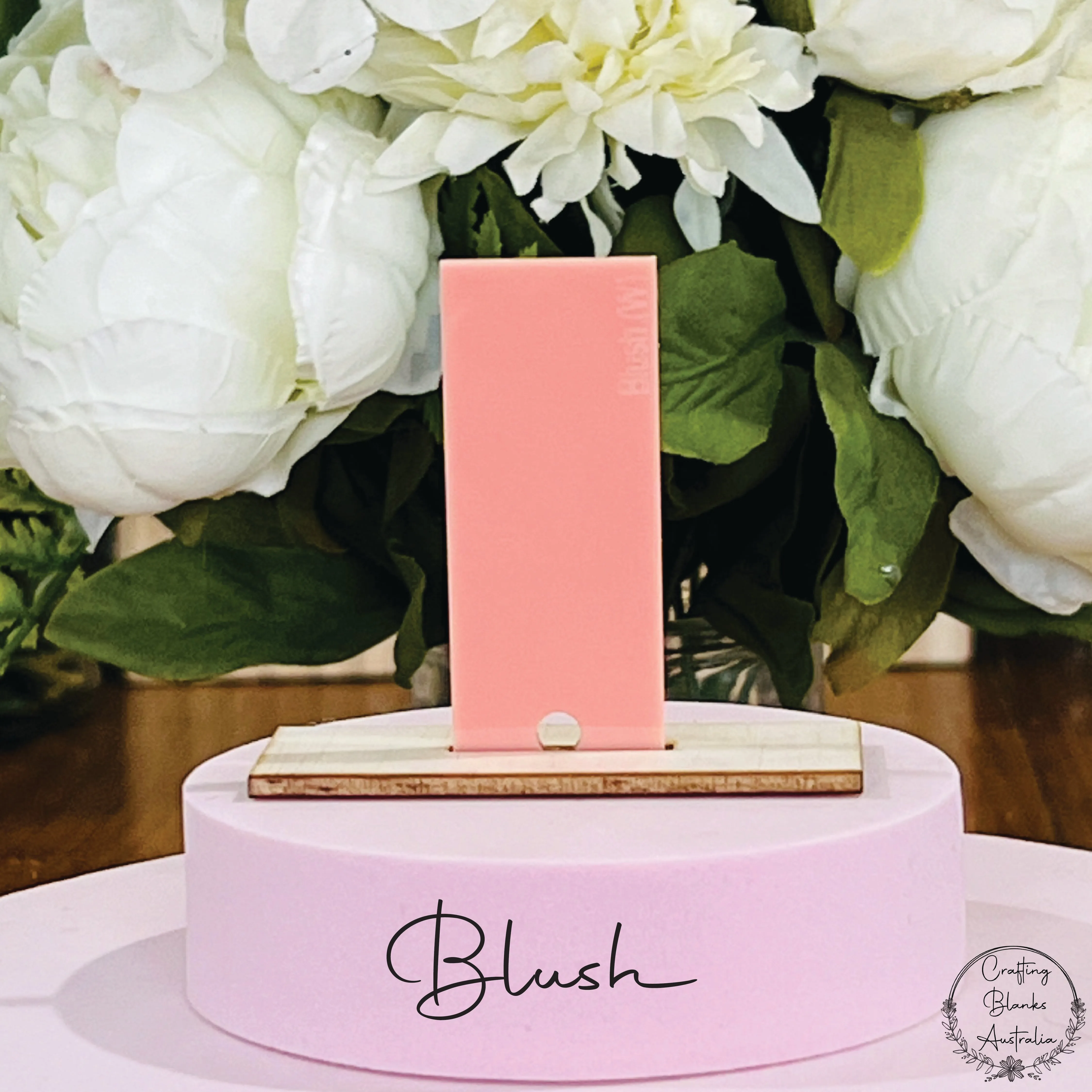 Alphabet Bunny • Blank Tag • 100mm