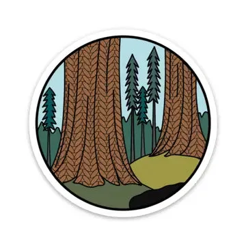 Camp Stitchwood Knitional Parks