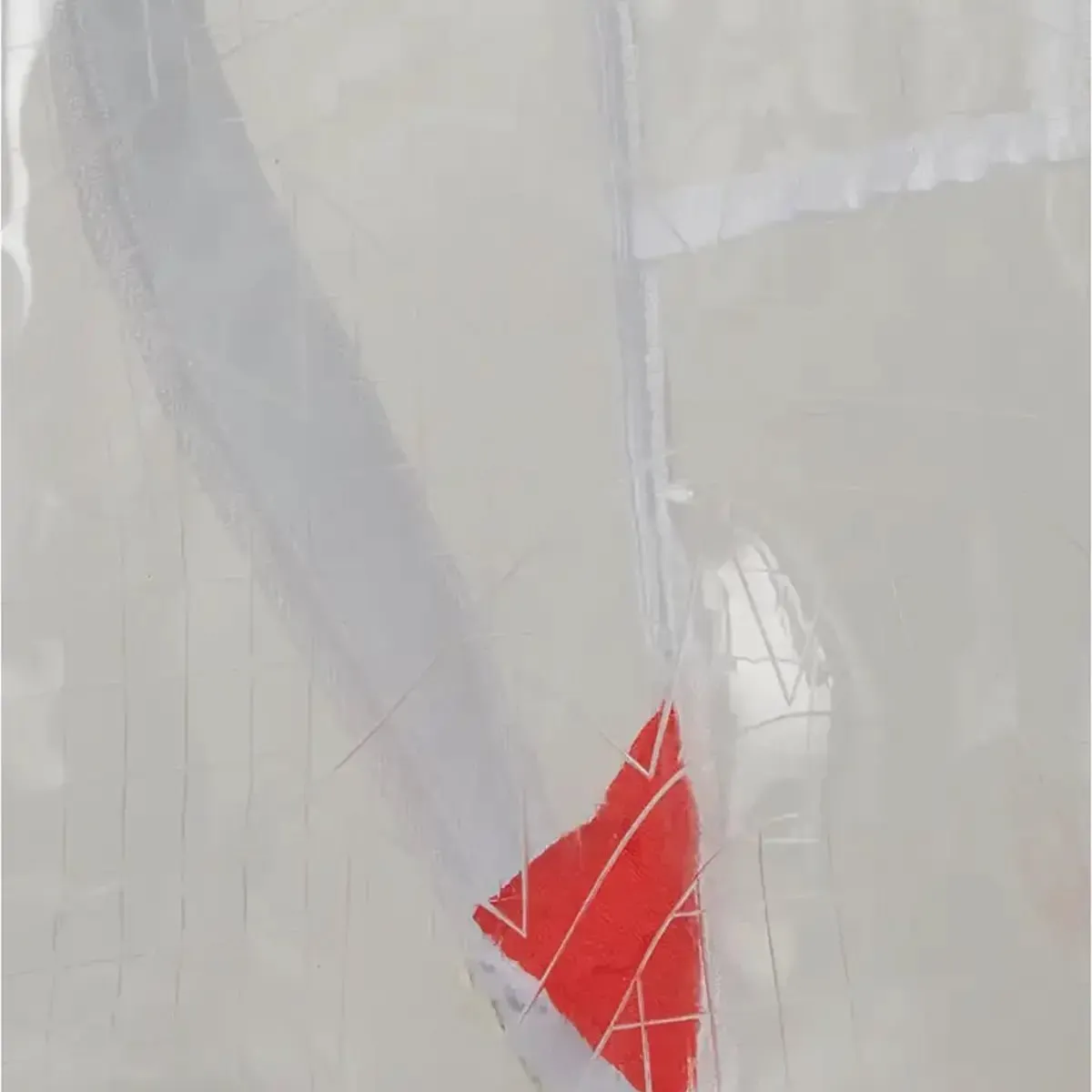 Clear Vision Sharks In Paris 100 All Clear Dlx Backpack