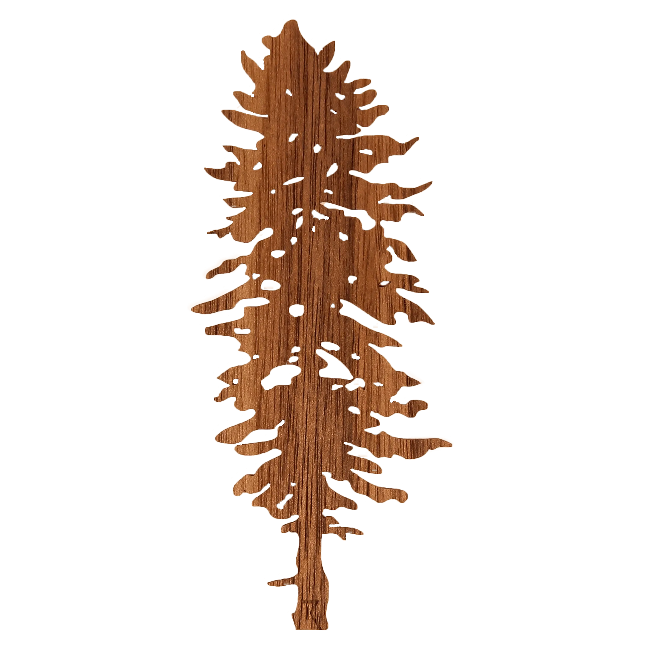 Doug Fir Wood Sticker