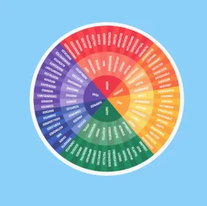 Feelings Wheel Sticker