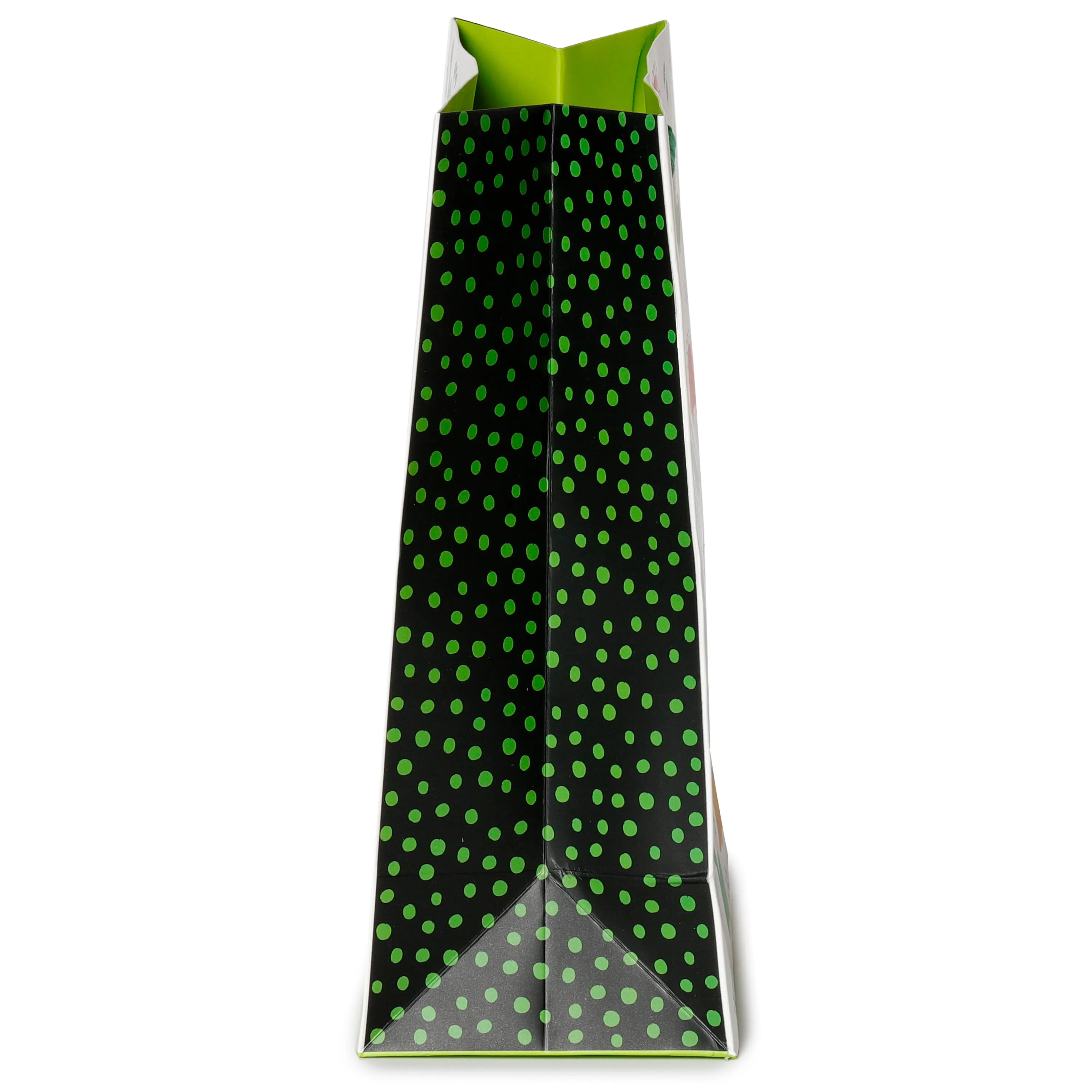 Gift Bag (Medium) - Dinosauria Jr