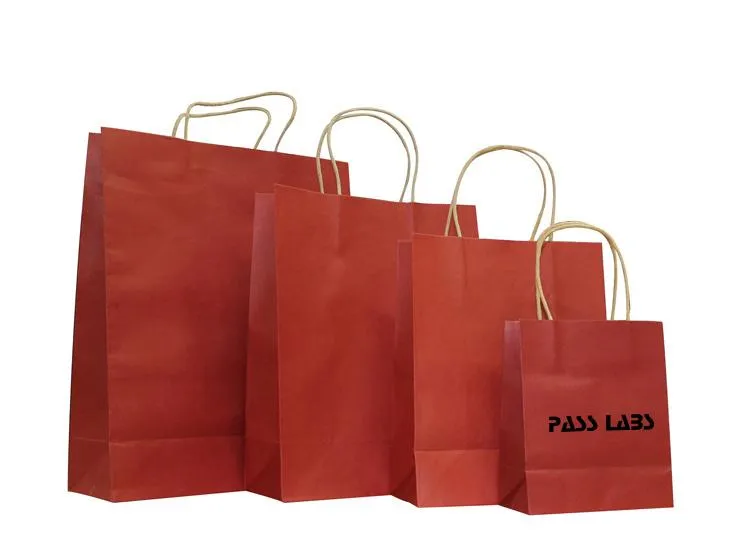 Kraft Paper Bag (Medium)