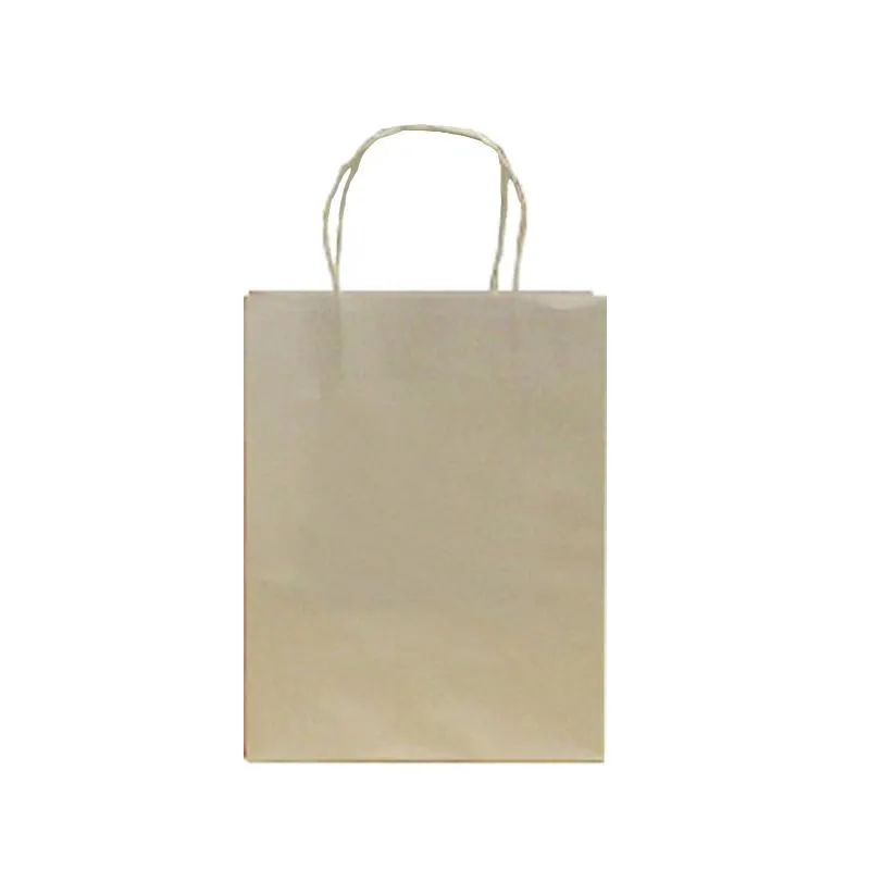 Kraft Paper Bag (Medium)