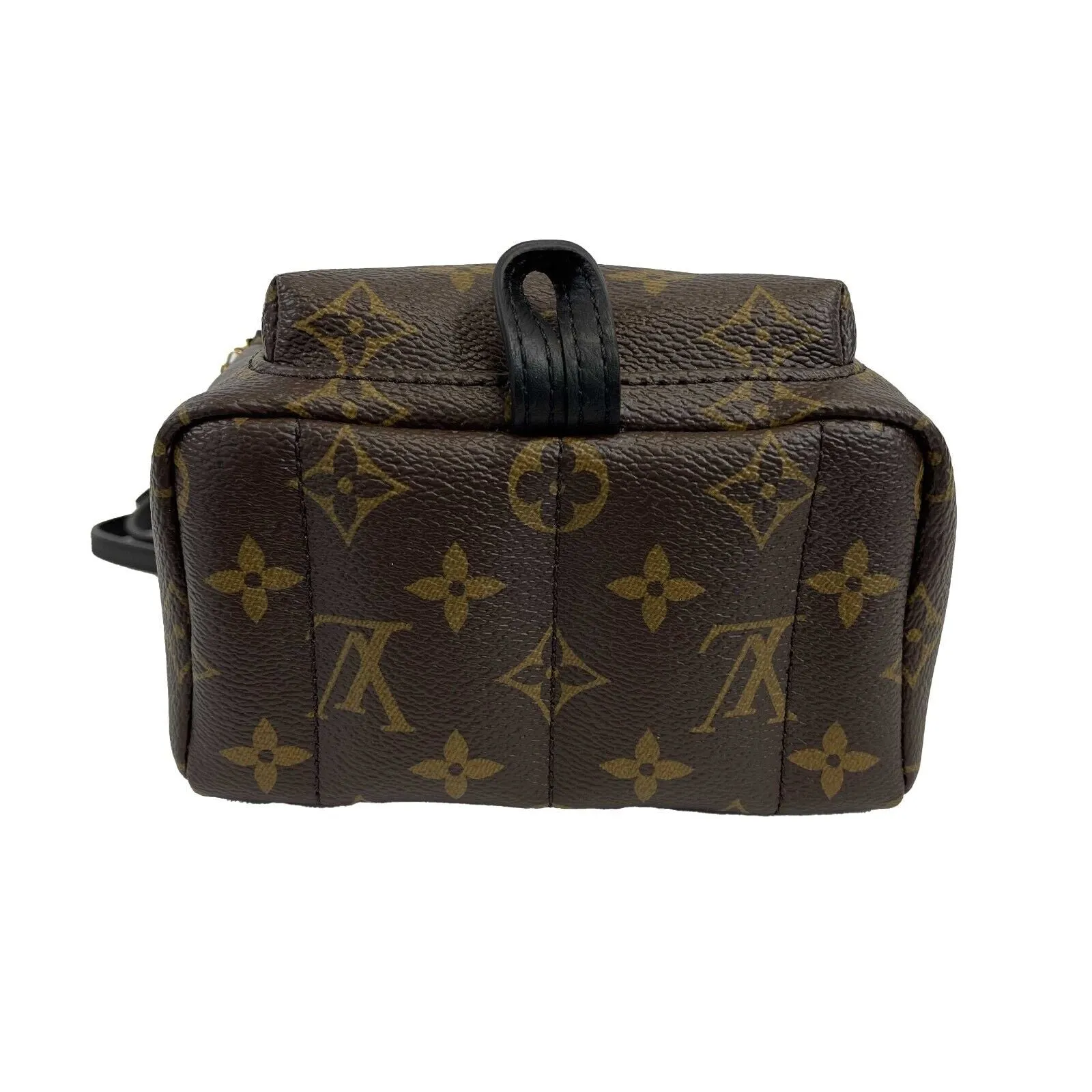 Louis Vuitton - NEW Palm Springs Mini - Brown Crossbody RETAIL $2440