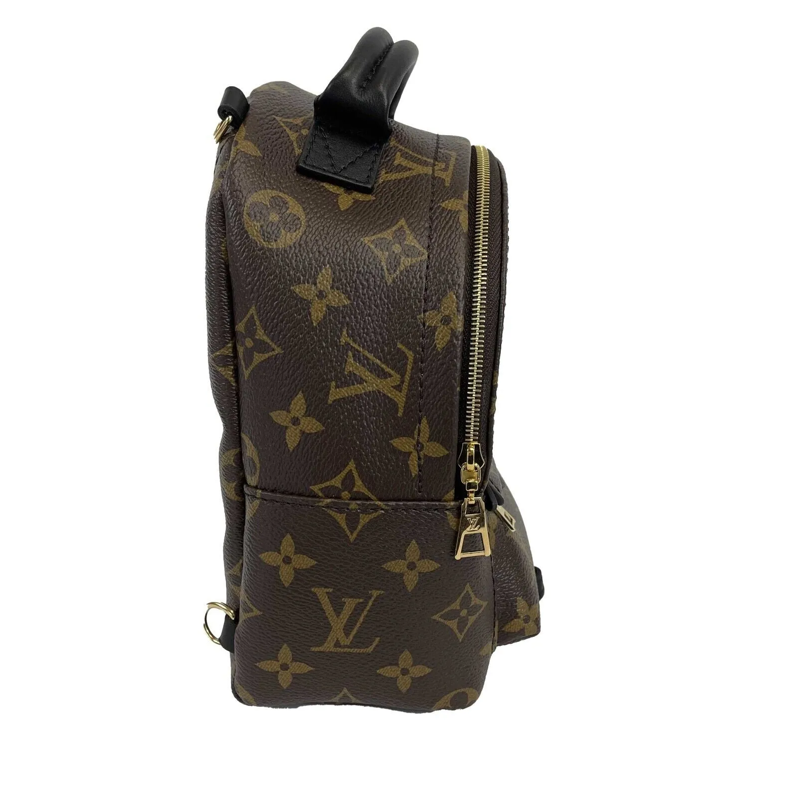 Louis Vuitton - NEW Palm Springs Mini - Brown Crossbody RETAIL $2440