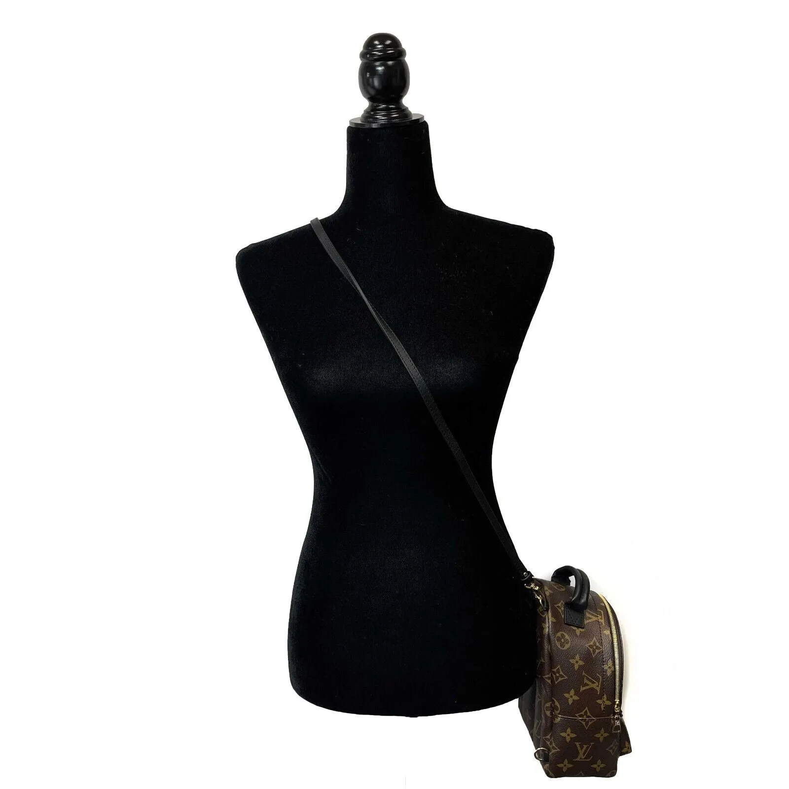 Louis Vuitton - NEW Palm Springs Mini - Brown Crossbody RETAIL $2440