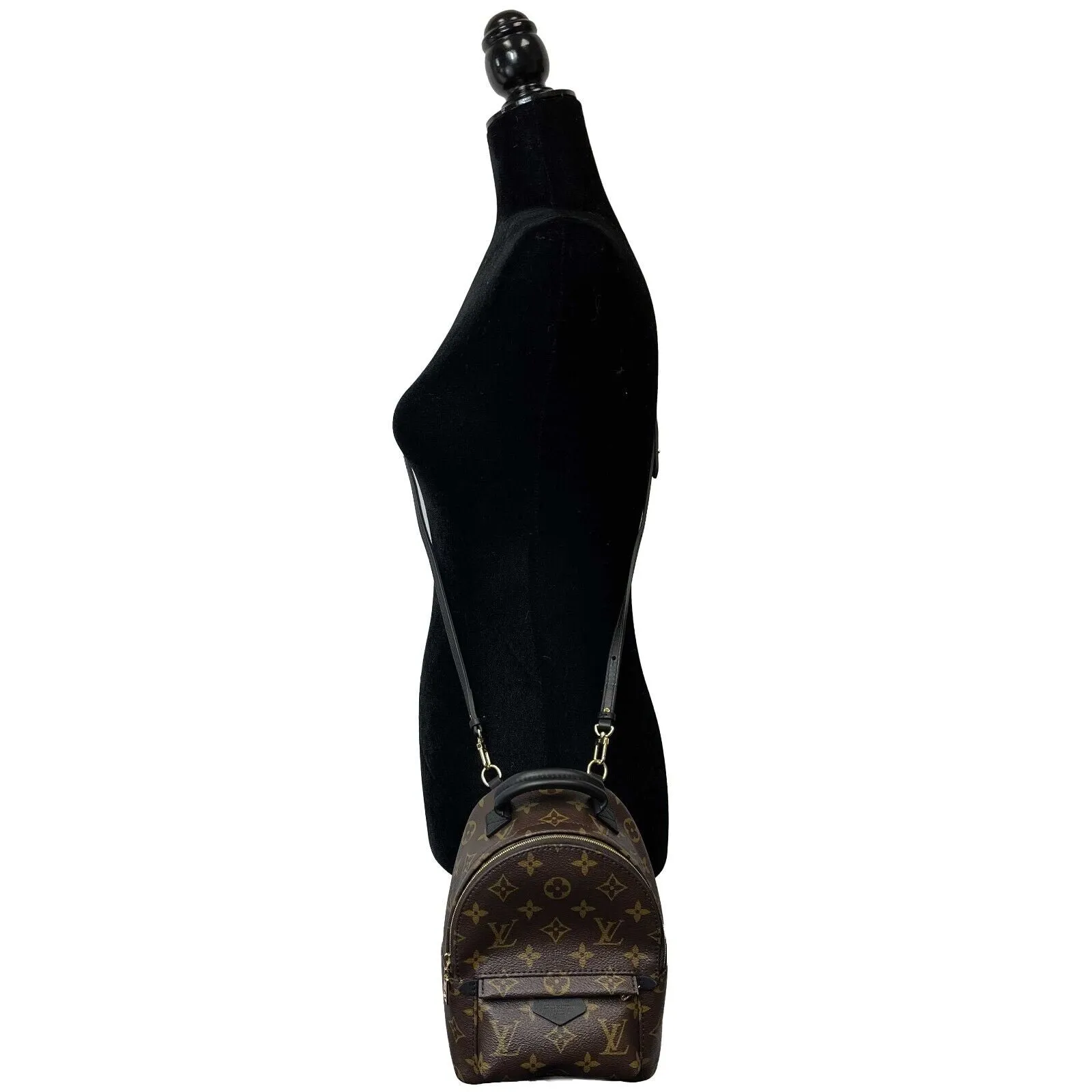 Louis Vuitton - NEW Palm Springs Mini - Brown Crossbody RETAIL $2440