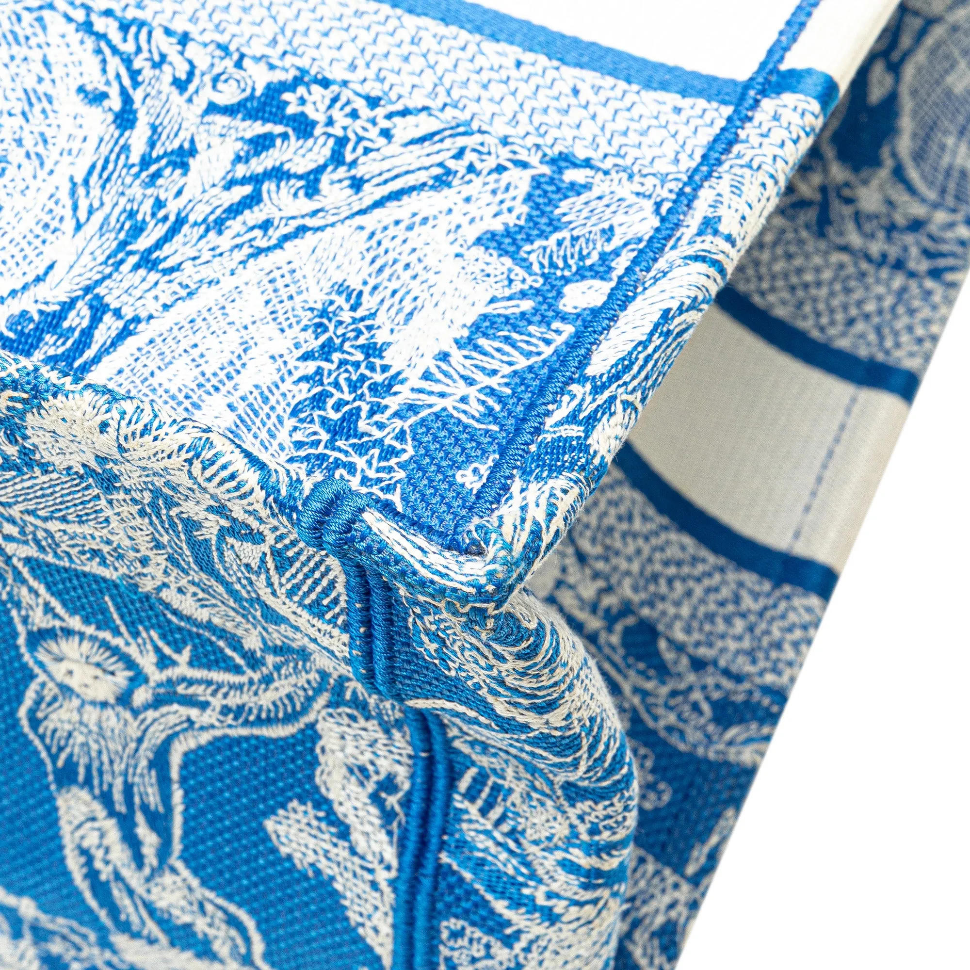 Medium Canvas Embroidered Dioriviera Toile De Jouy Book Tote