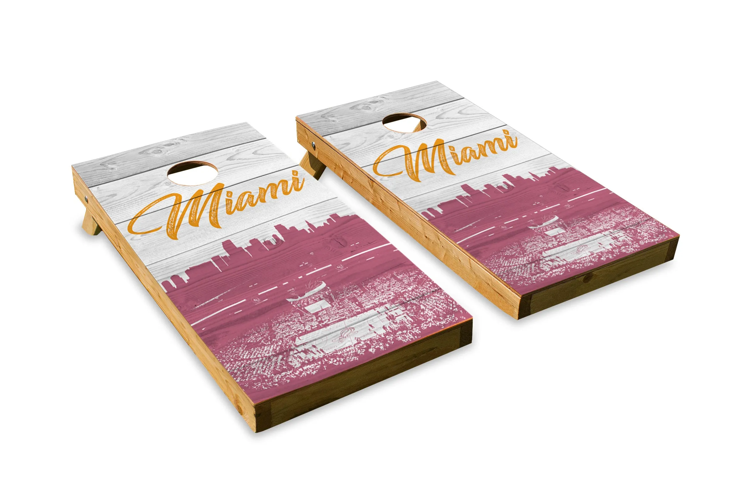 Miami Heat Arena Skyline