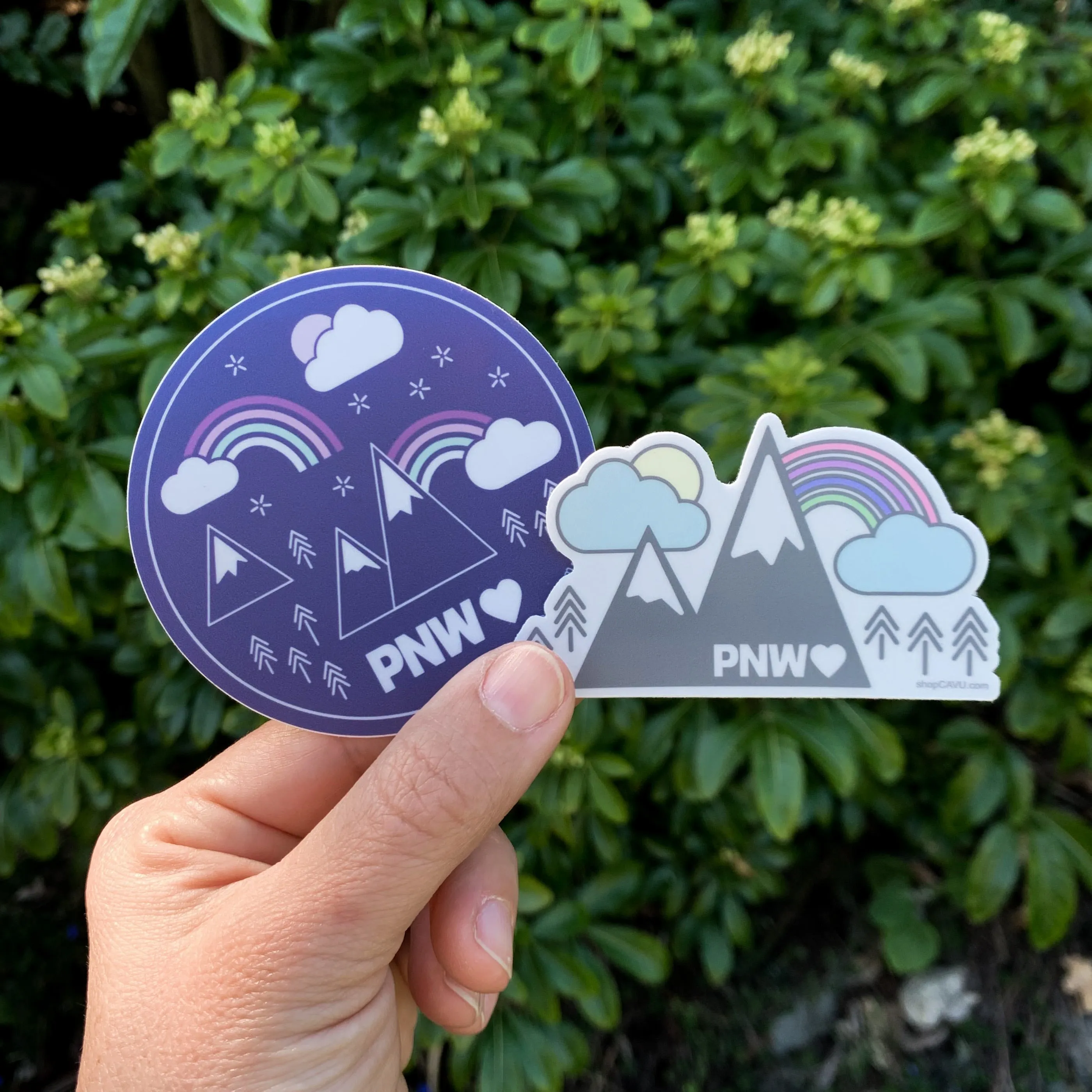 Mountains   Rainbows PNW 3” Sticker / Decal