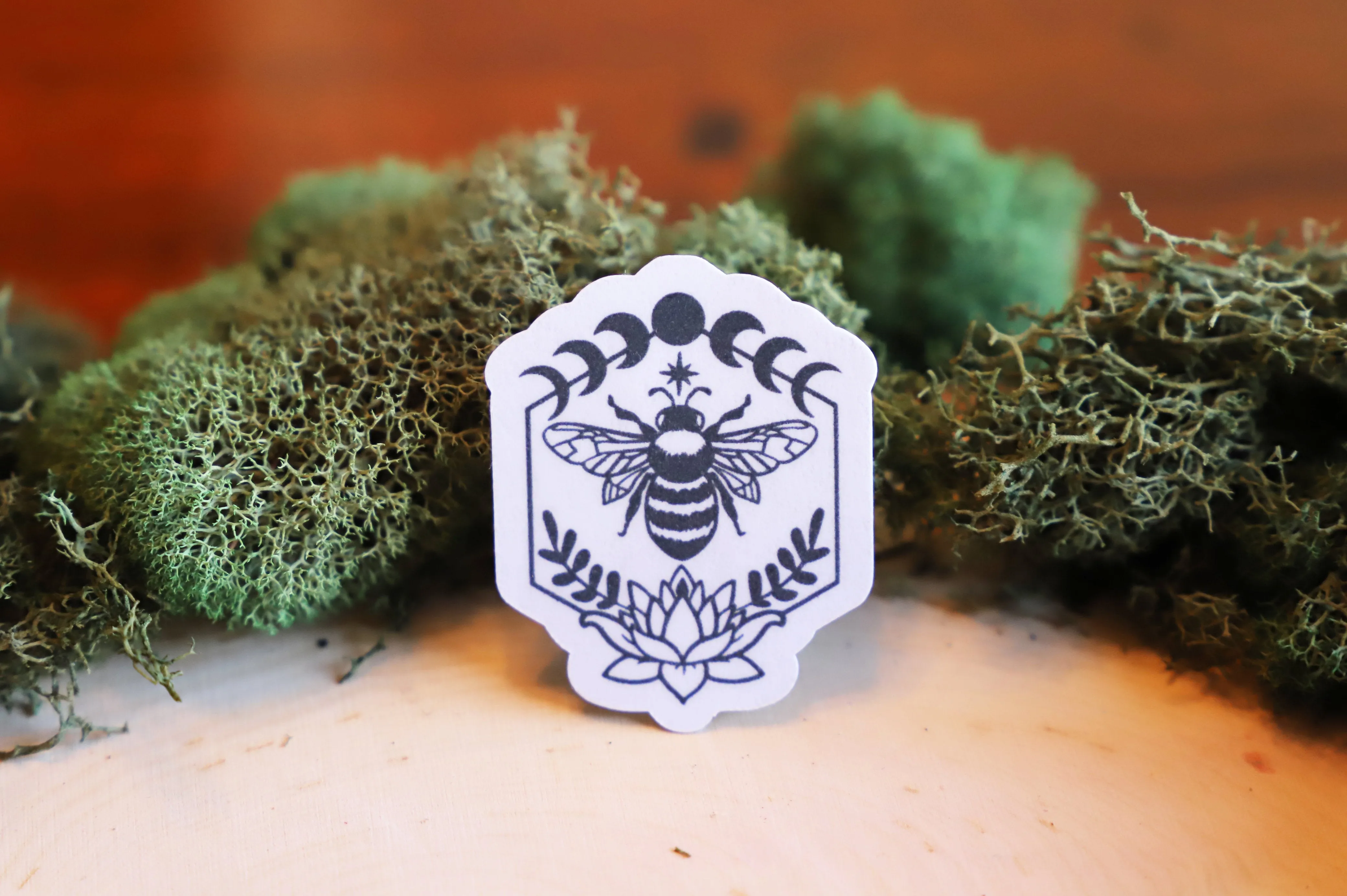Mystical Insects sticker pack | 5pk
