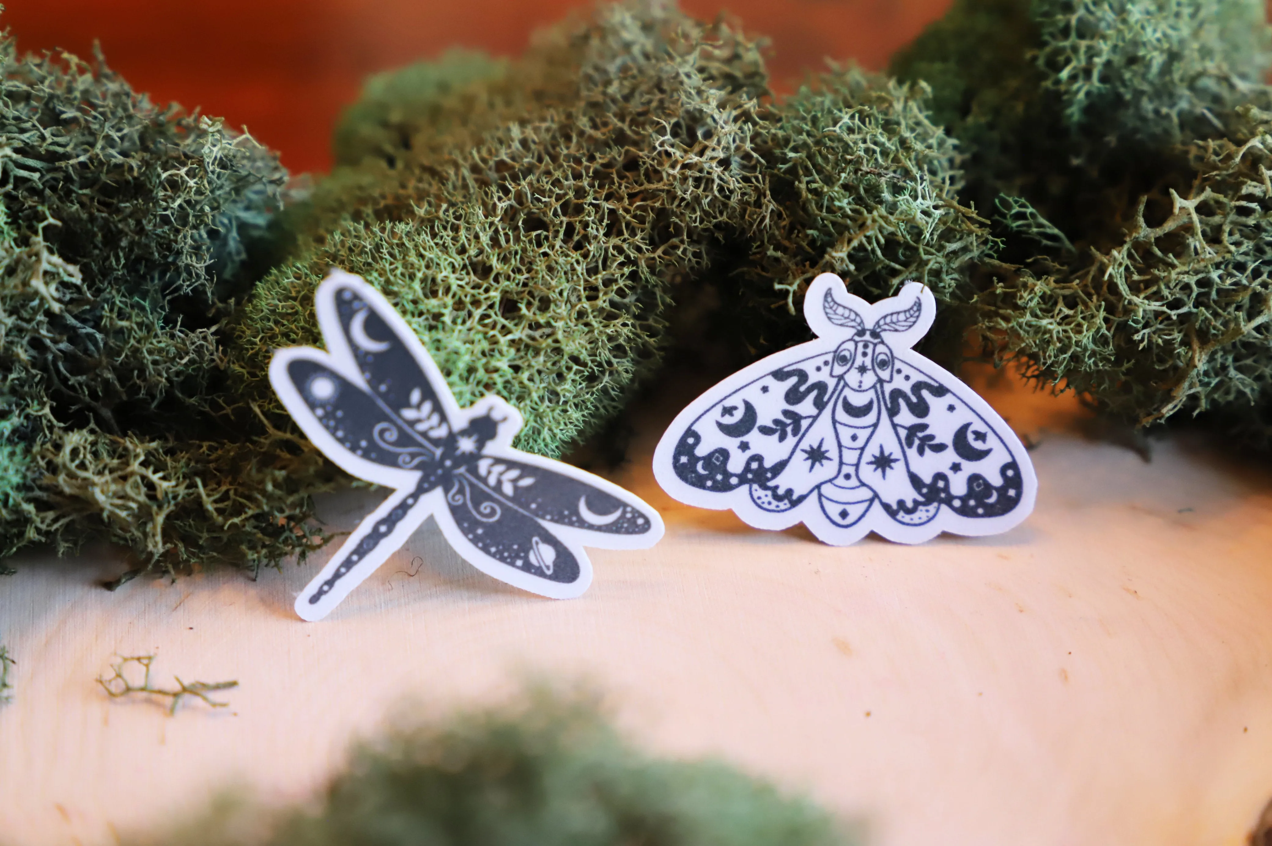 Mystical Insects sticker pack | 5pk