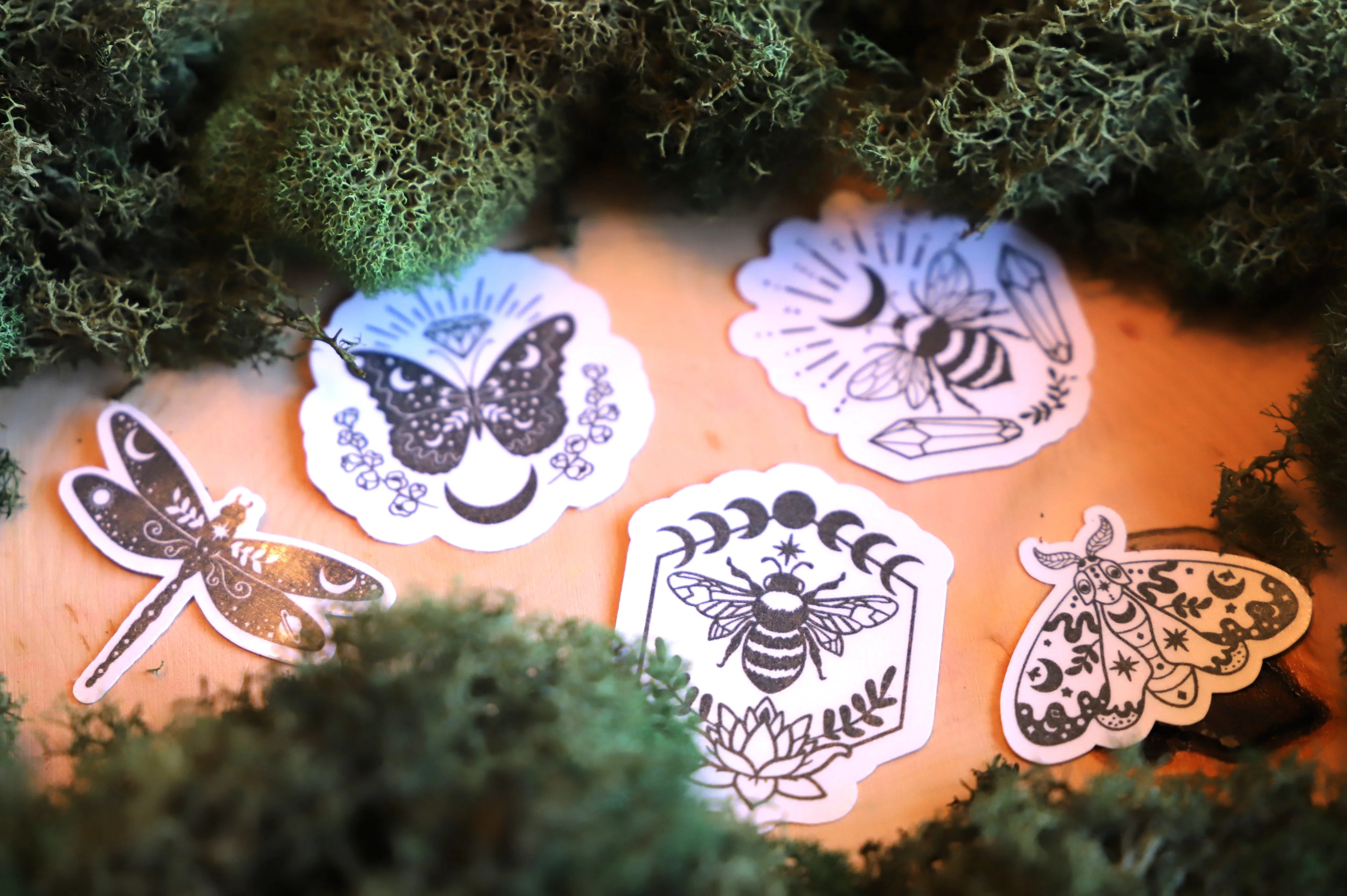 Mystical Insects sticker pack | 5pk