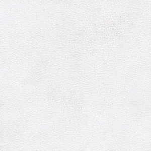 Superior Marine Vinyl: Snow