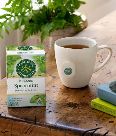 Traditional Medicinals Organic Spearmint 16 Bags