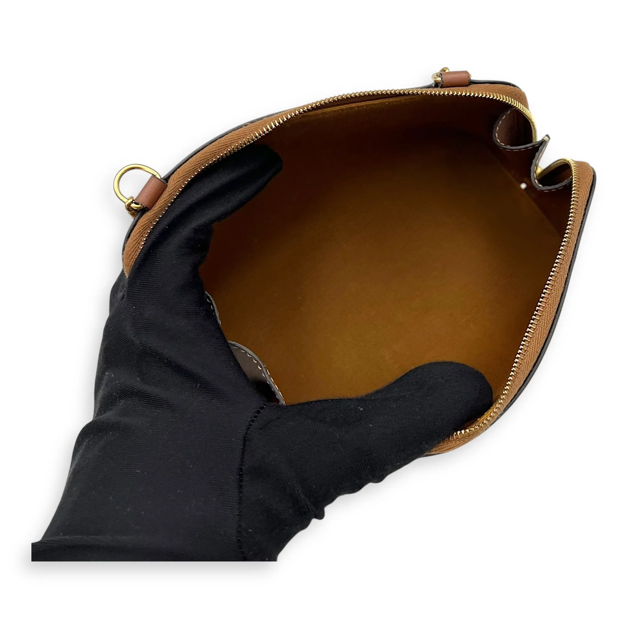 Triomphe Crossbody Bag Brown in Coated Canvas, Gold hardware