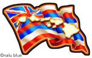 Wavy Hawaiian Flag Decal