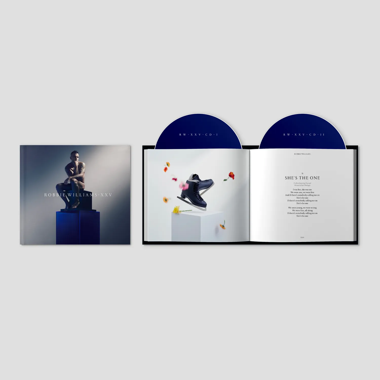 XXV Black Vinyl   Deluxe CD   Alt Artwork CDs (x3)