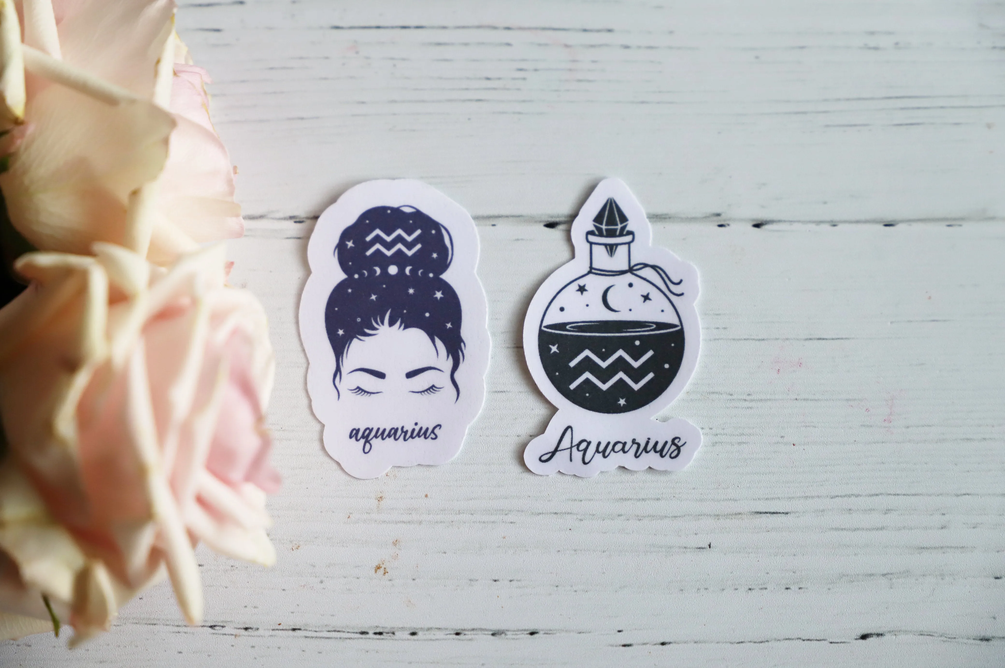 Zodiac Girl sticker set | 2pk