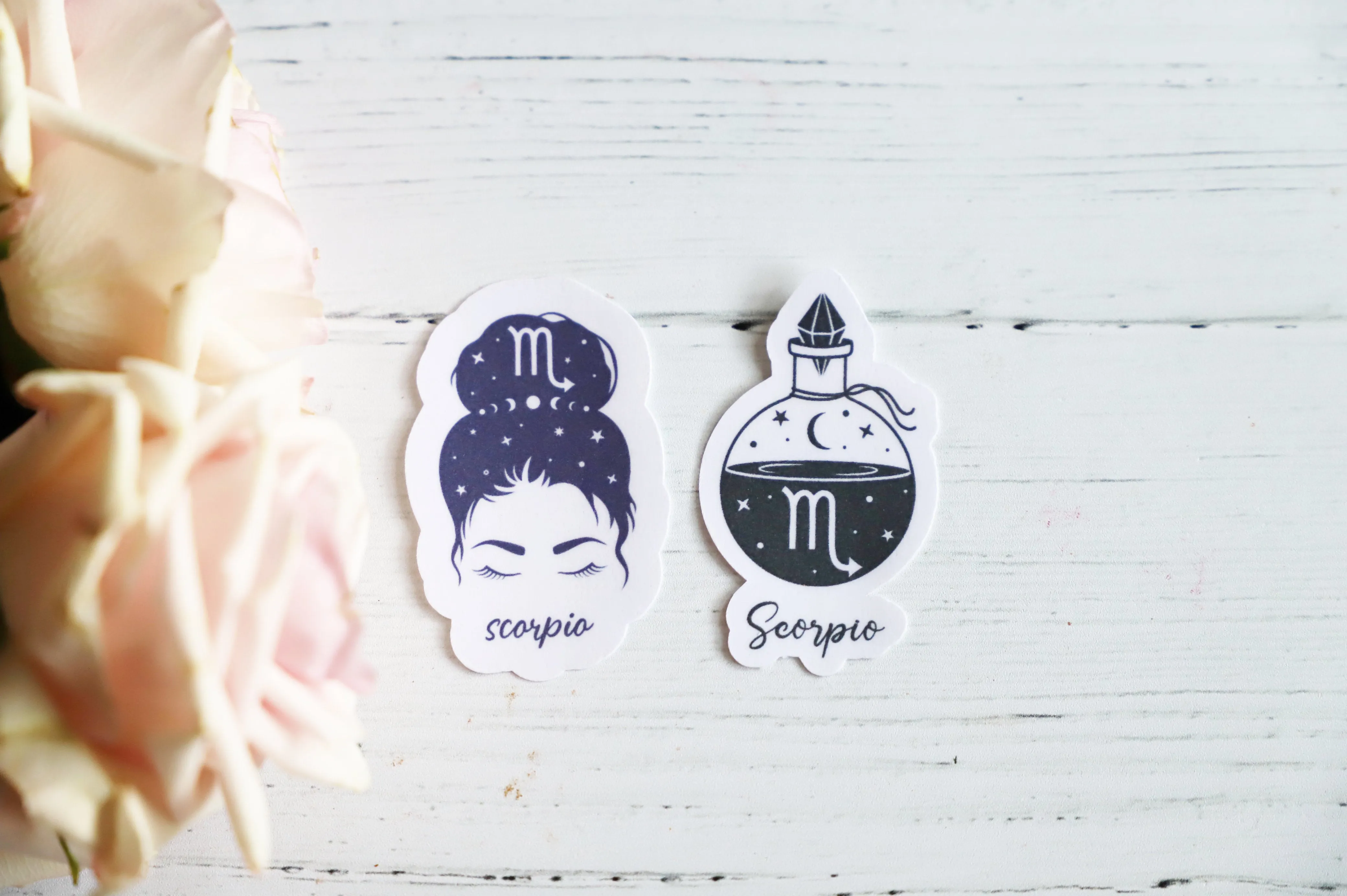 Zodiac Girl sticker set | 2pk