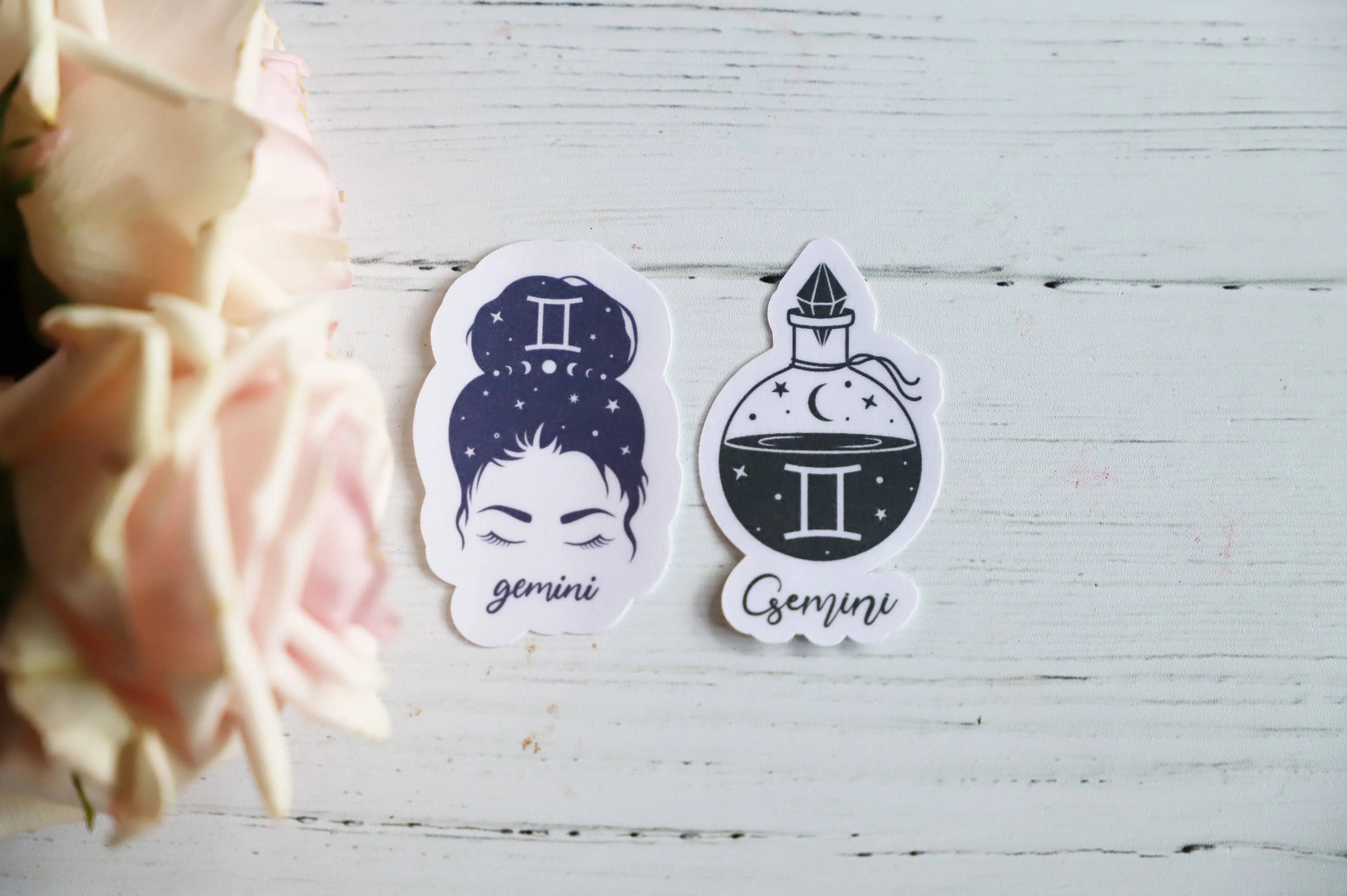 Zodiac Girl sticker set | 2pk