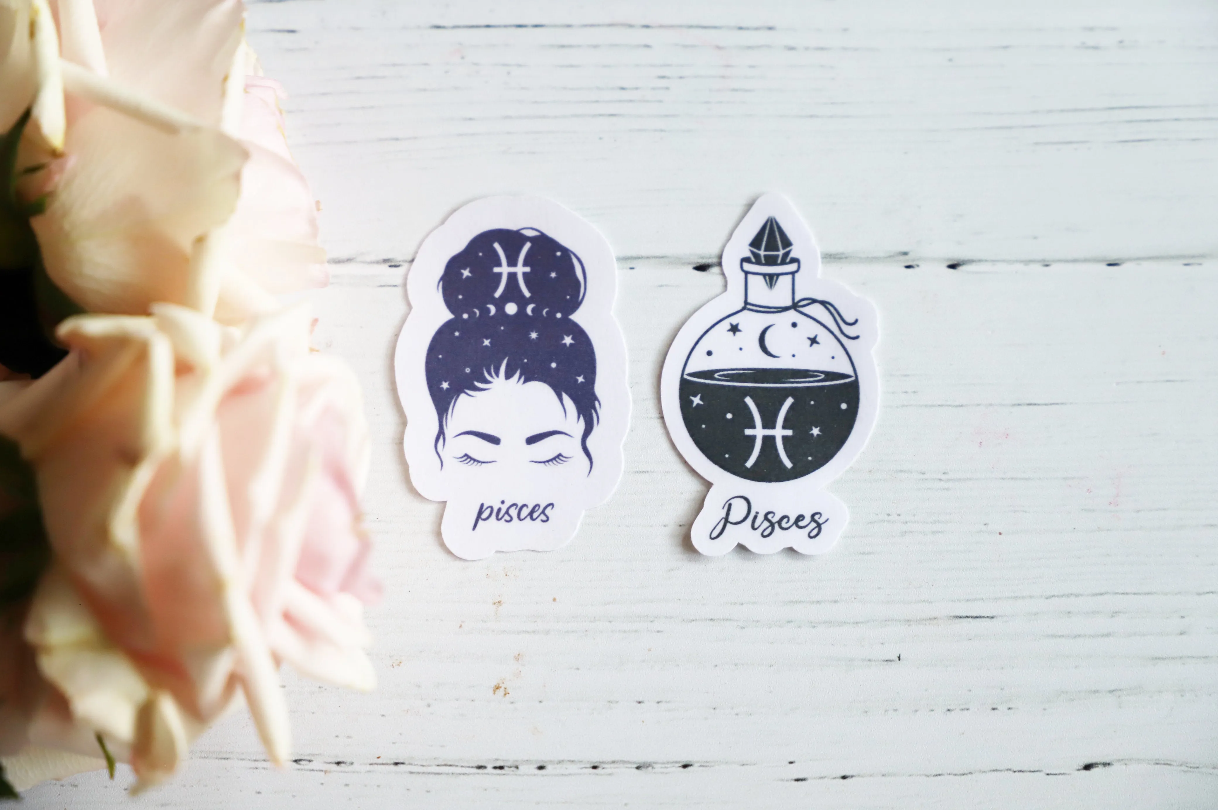 Zodiac Girl sticker set | 2pk