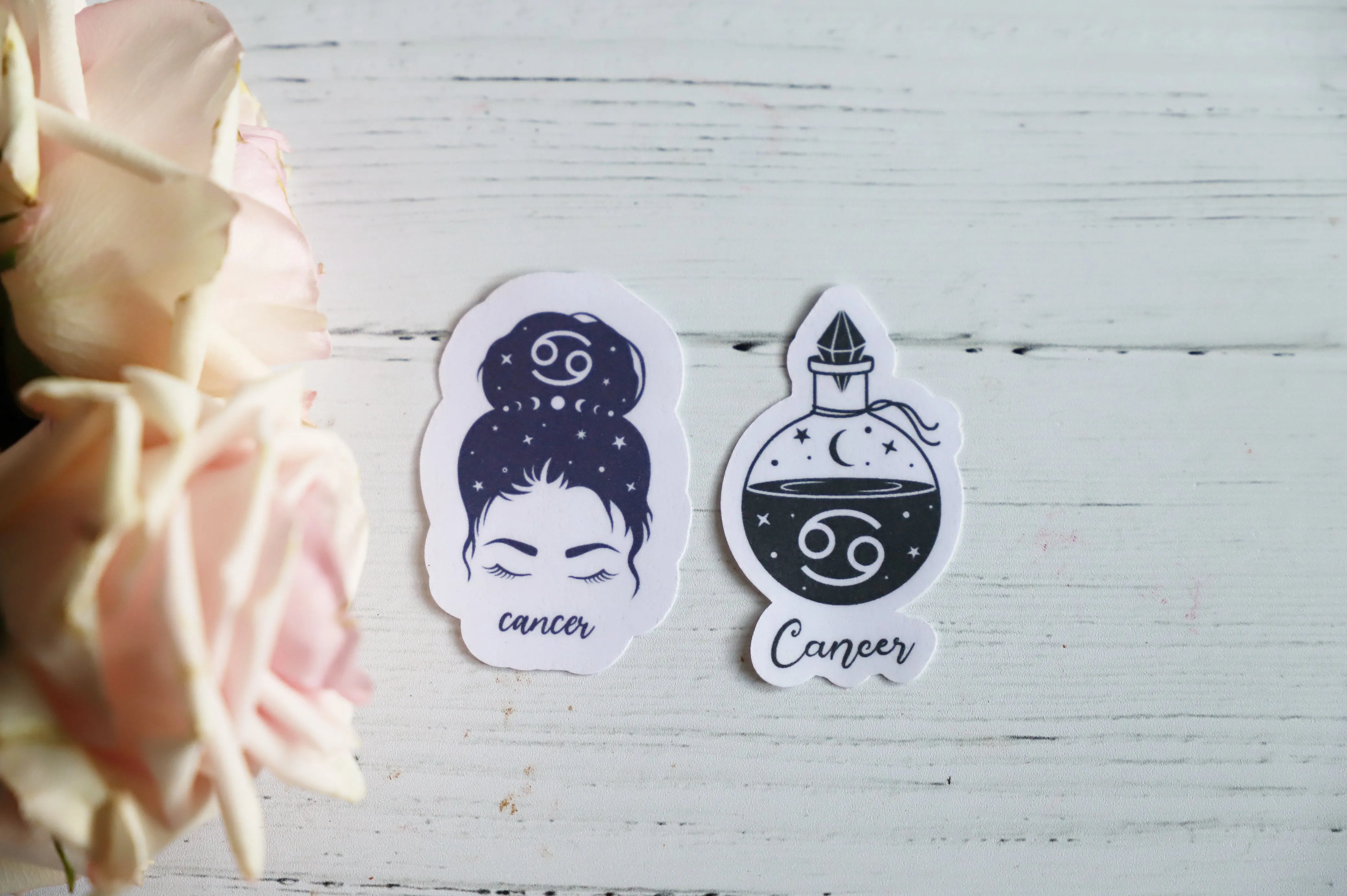 Zodiac Girl sticker set | 2pk