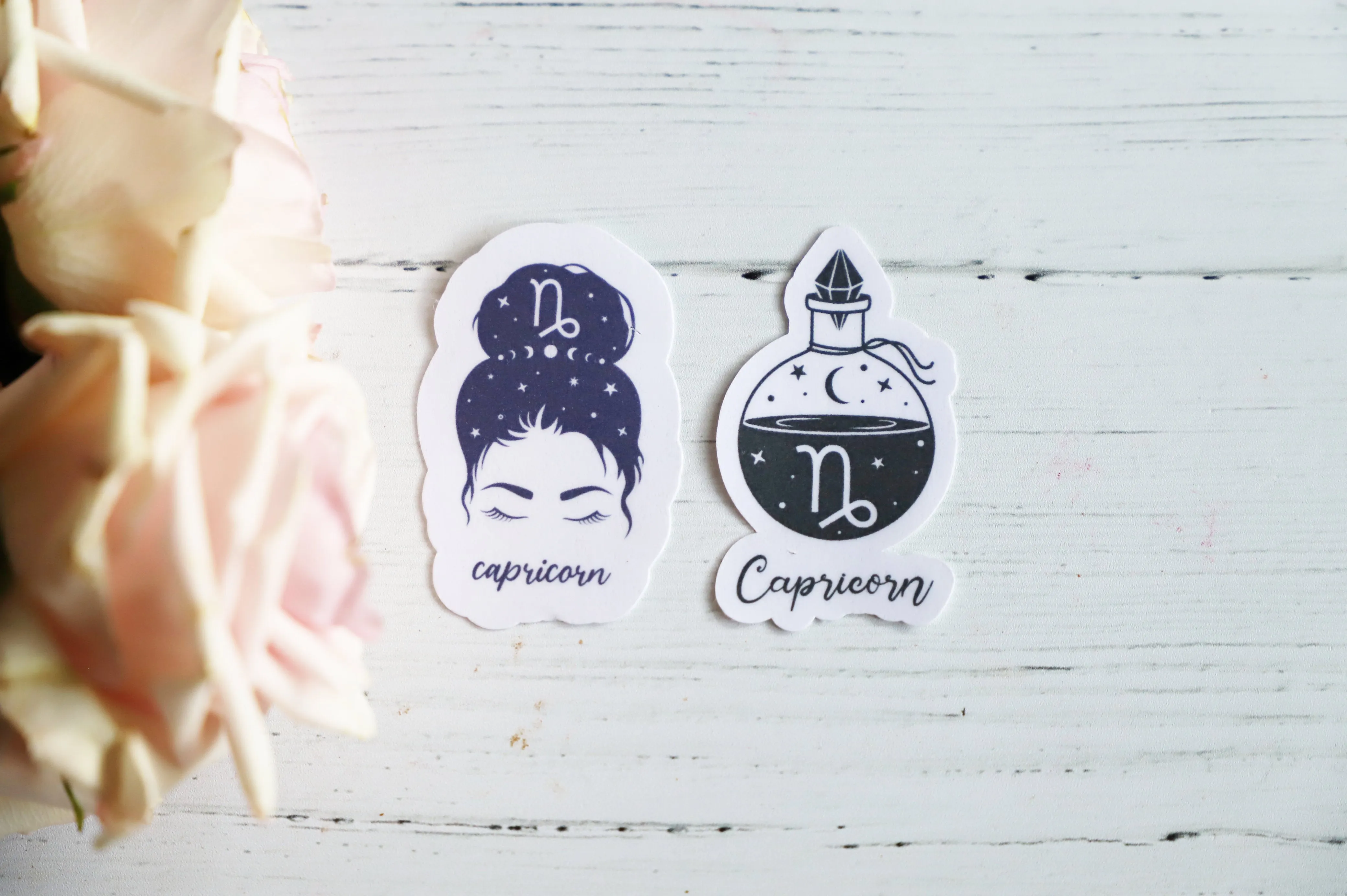 Zodiac Girl sticker set | 2pk