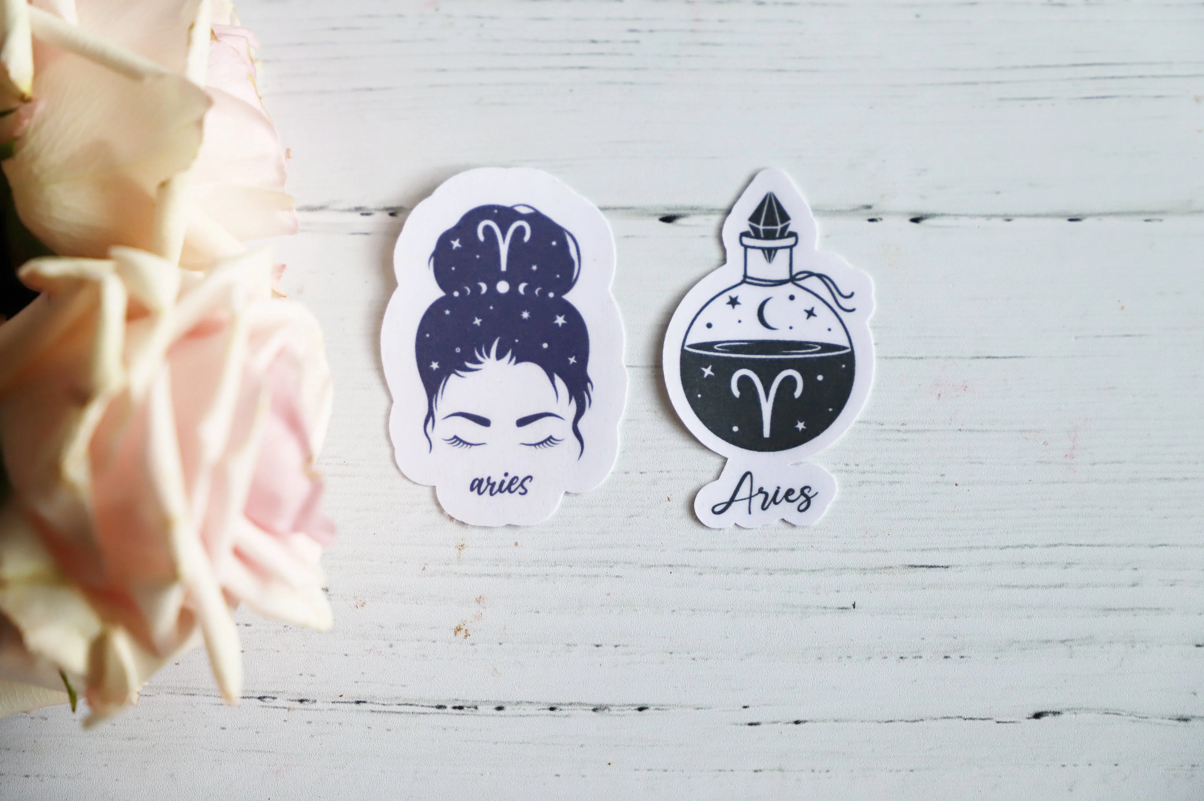 Zodiac Girl sticker set | 2pk