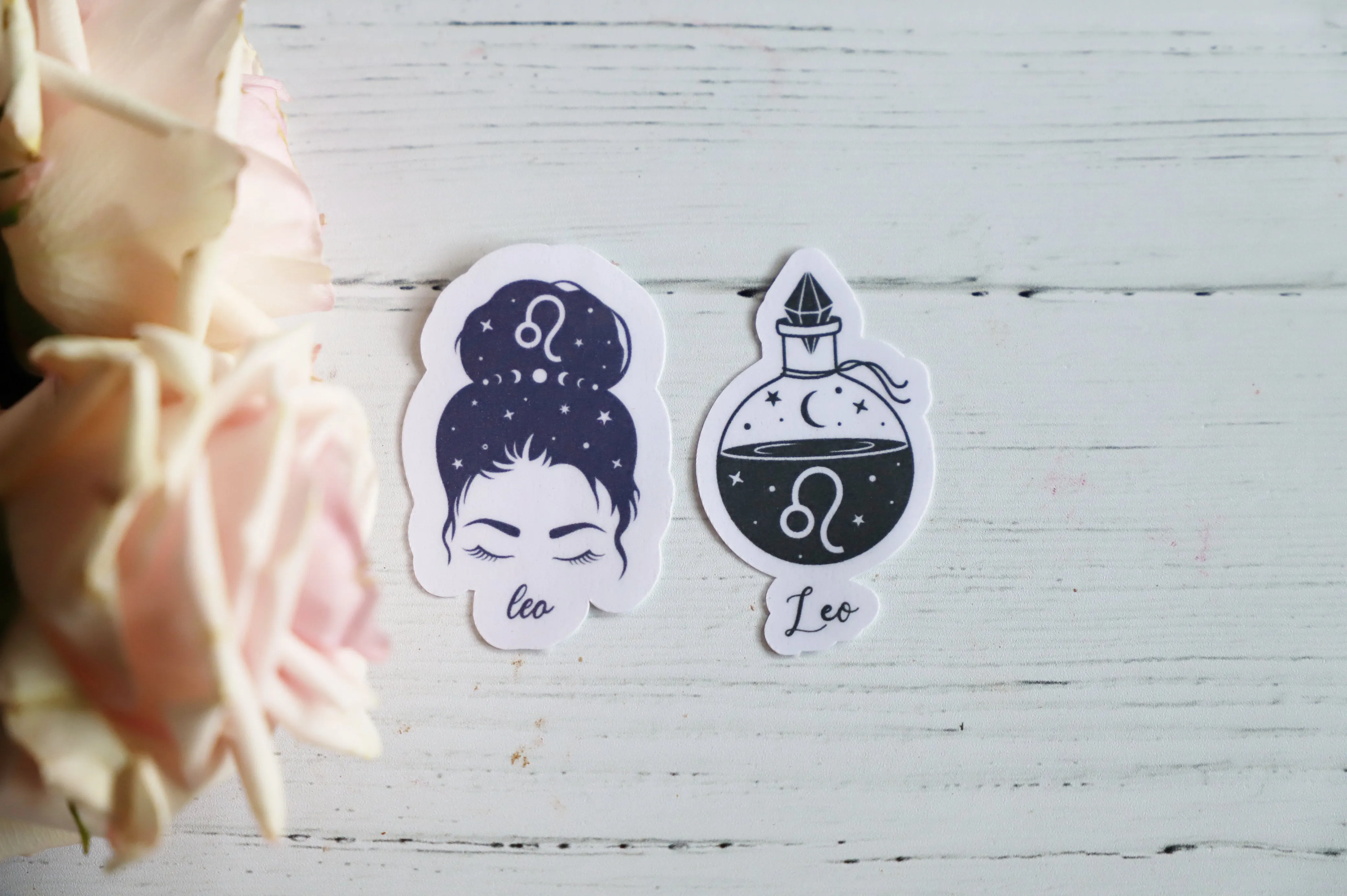 Zodiac Girl sticker set | 2pk
